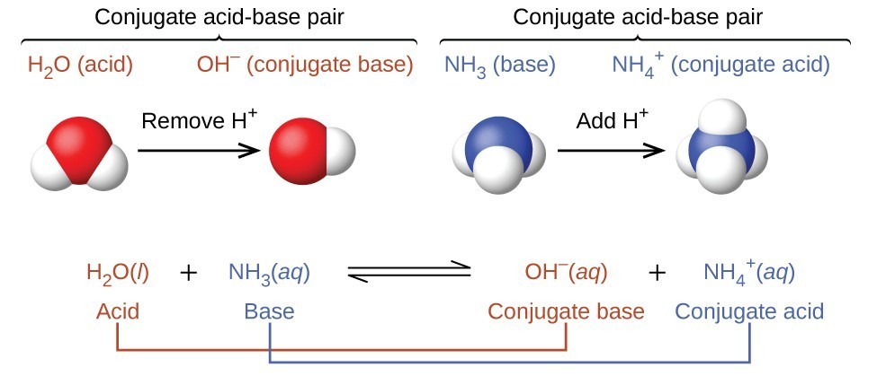 CNX_Chem_14_01_conjugate_img.jpg