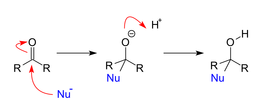 NucleophilicAdditionsToCarbonyls.svg.png
